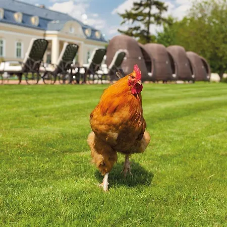 Amade Chateau Otel